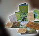 brochure design invitation package for Smithsonian Museum of the American Indian © Andrea LeHeup, Soleil NYC Design