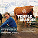 branding for Independent Minds radio documentary Temple Grandin